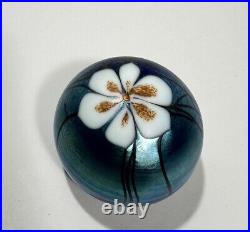 Vtg 1979 Fabulous Steve Smyers Iridescent Anemone Art Glass Paperweight, Signed