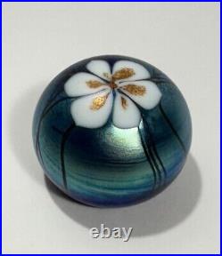 Vtg 1979 Fabulous Steve Smyers Iridescent Anemone Art Glass Paperweight, Signed