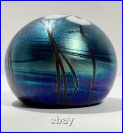 Vtg 1979 Fabulous Steve Smyers Iridescent Anemone Art Glass Paperweight, Signed