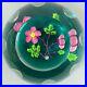 WHITEFRIARS-CAITHNESS-LTD-EDITION-DOG-ROSE-GLASS-PAPERWEIGHT-NO-18-of-100-01-wavx