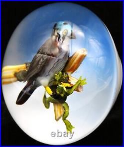 WONDERFUL XL Rick Ayotte Bird of Prey with Captured Frog Art Glass PAPERWEIGHT